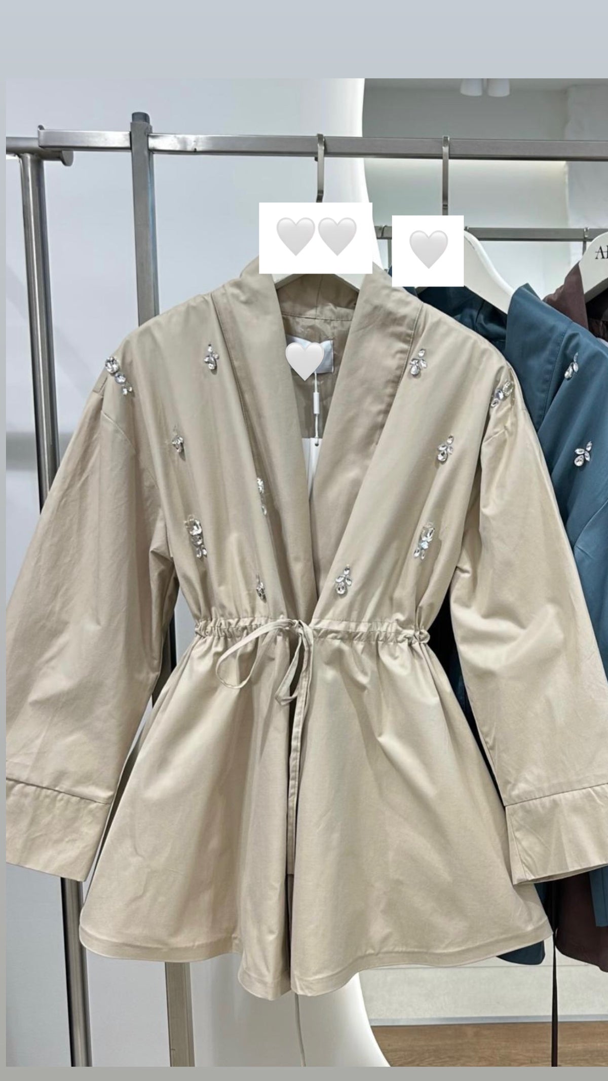 Crystal Cinched Jacket