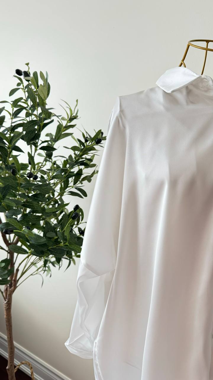 Basic Shirt ! (2 colours)